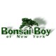 Bonsai Boy of New York