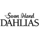 Swan Island Dahlias