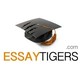 Essay Tigers