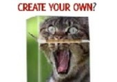smoke-screenz.com coupons or promo codes