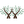 Double Wood Supplements