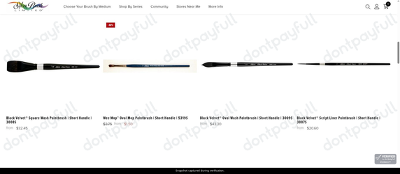 Snapshot of Silver Brush promo: 'Up to 60% Off Watercolor Brushes' - captured during verification by DontPayFull on 01-Oct-2026.